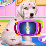 Labrador Puppy Daycare Salon